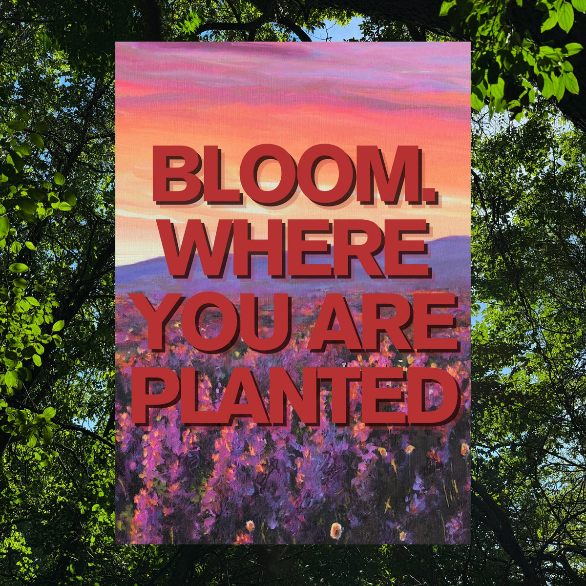 Bloom. Where You Are Planted 24'x36'