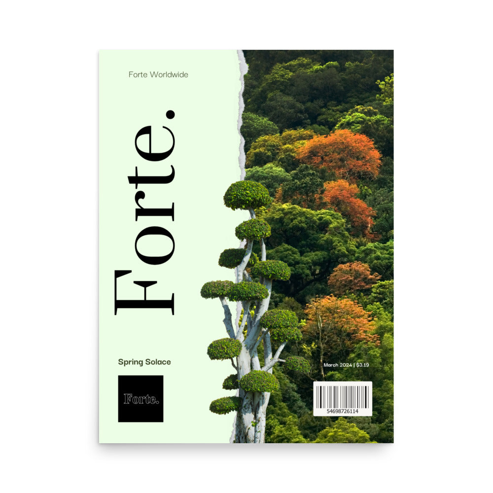 Forte Spring Solace Poster